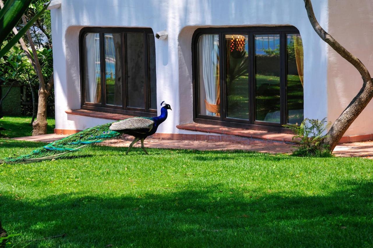 Arbatax Park Resort - Ville Del Parco Buitenkant foto